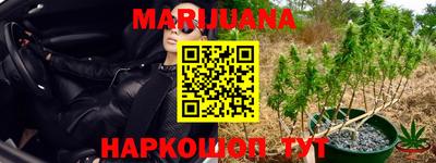 Альфа ПВП Малгобек