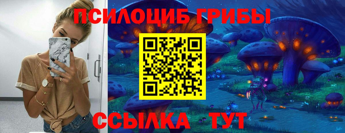 Выкса  Псилоцибиновые грибы прущие грибы  Вход с VPN 